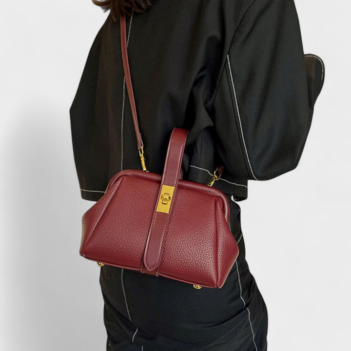 Daliborka - Retro Bag
