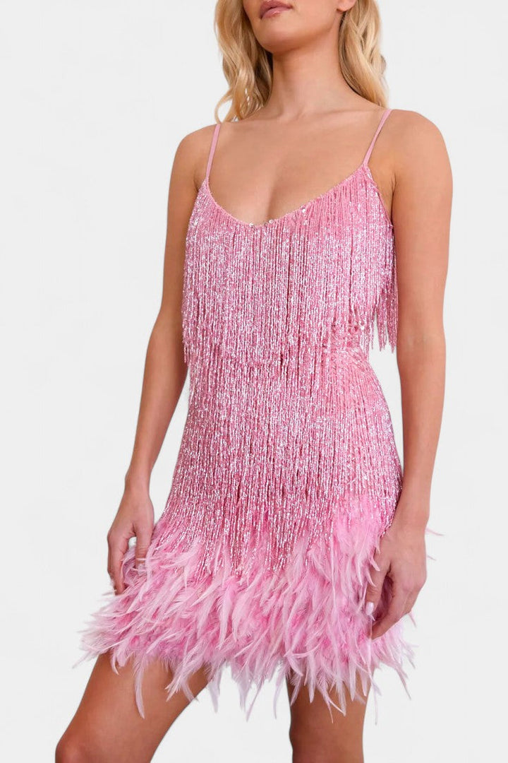 Mirjana Mini Dress with Feathers